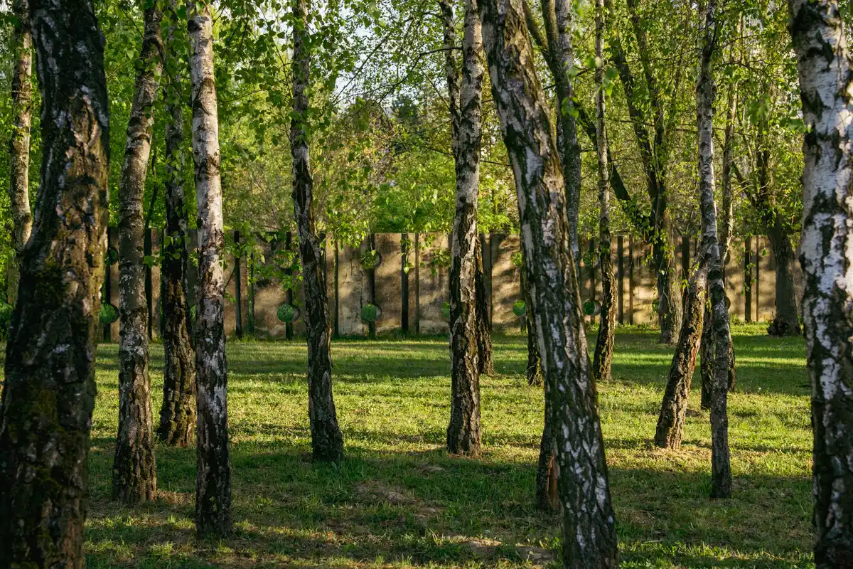 Cintorín Vrakuňa